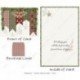 Christmas - Ribbons and Stars