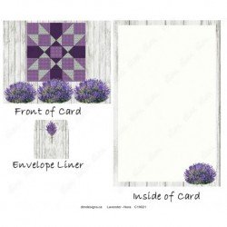 Lavender - Nora