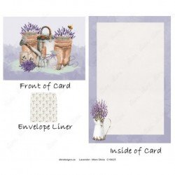 Lavender - More Olivia