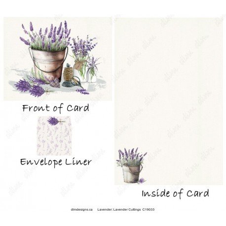 Lavender - Lavender Cuttings