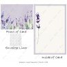 Lavender Garden 2