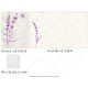 Lavender Line Art 1