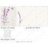 Lavender Line Art 1