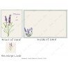 Lavender Thinking of You