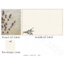 Lavender 1 2025