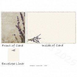 Lavender 2 2025