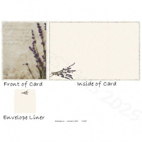 Lavender 2 2025