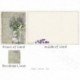 Lavender 4 2025
