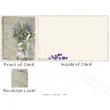 Lavender 4 2025