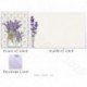Lavender 5 2025