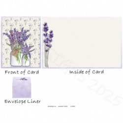 Lavender 5 2025