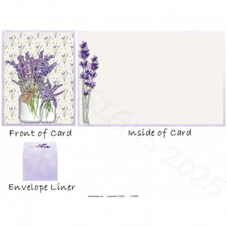 Lavender 5 2025