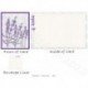 Lavender 6 2025