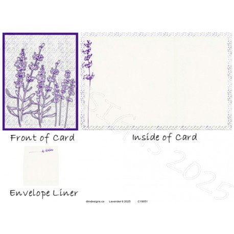 Lavender 6 2025