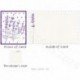 Lavender 7 2025