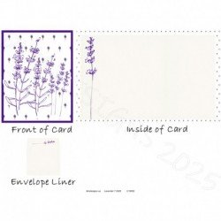 Lavender 7 2025