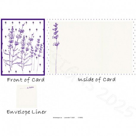 Lavender 7 2025