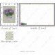 Lavender - Cindy