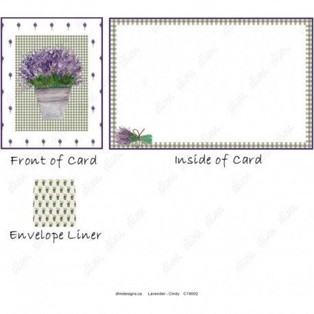 Lavender - Cindy