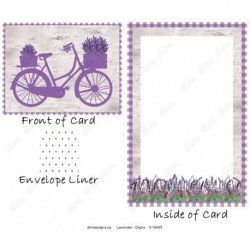 Lavender - Diane