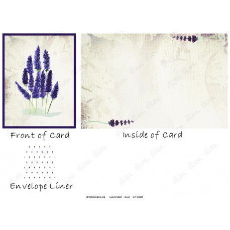 Lavender - Sue
