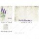 Lavender - Suzanne