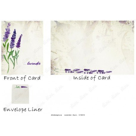 Lavender - Suzanne