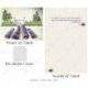 Lavender - Jacquie