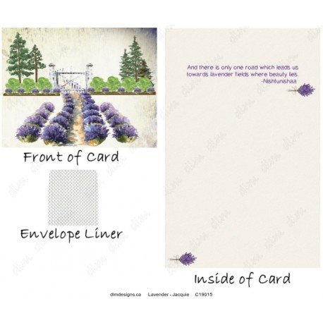 Lavender - Jacquie