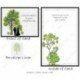Wedding - Forest Glen